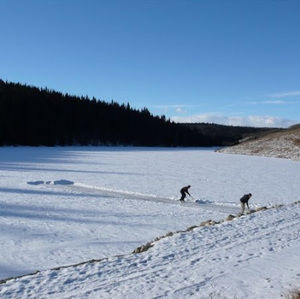 Meet your Posher, Han